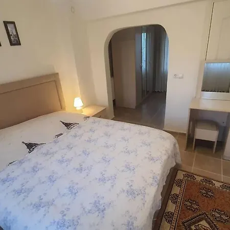 Otel Genis Bahceli - Dogal Gazli Triblex